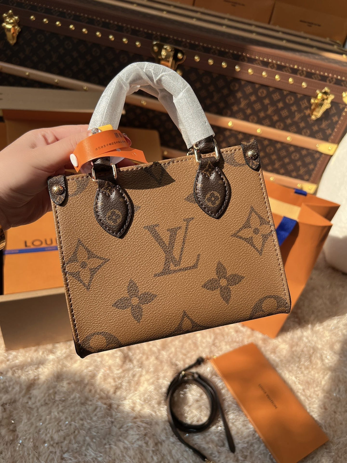 Qerioo™ LV™ Luxury Bag (18x15x8.5) cm